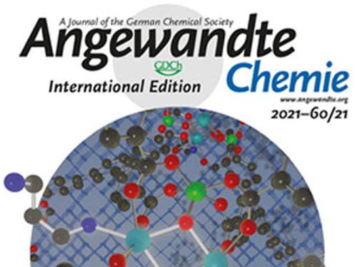 Selective grafting in the cover of Angewandte