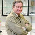 JOS� LUIS JORCANO NOVAL