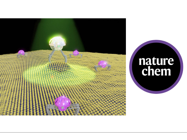 Chemistry paves the way for the development of intelligent two-dimensional mater...