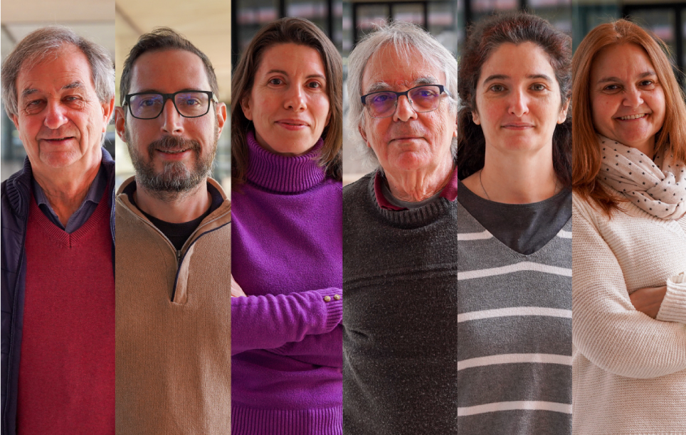 The Instituto de Ciencia Molecular develops new antifungal compounds against WHO...